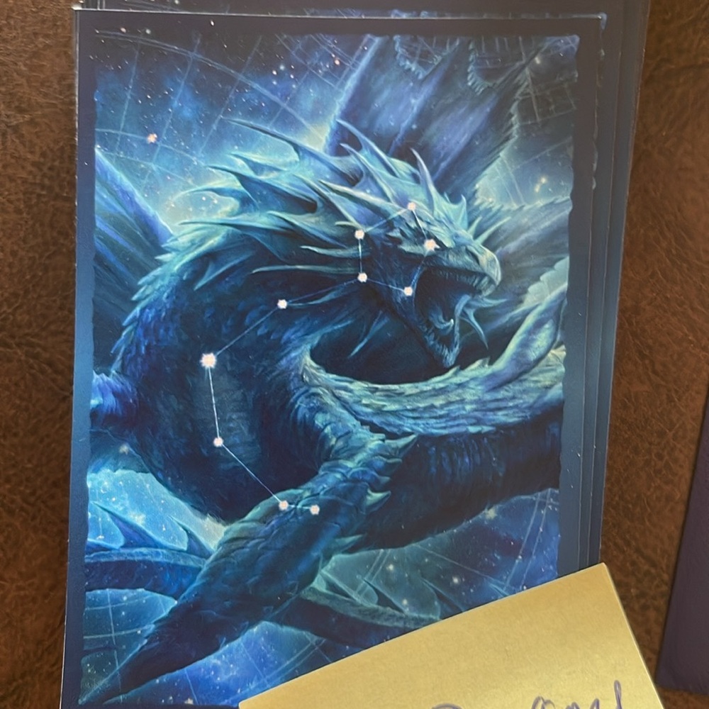 Protective card sleeves - Picture 2 of 2